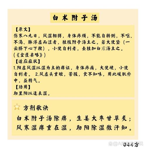 白术附子汤