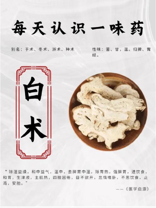 白术附子汤：用于鼻炎的新疗法？