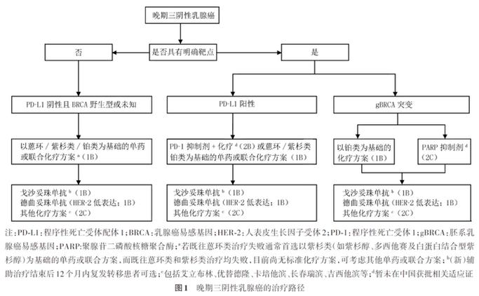 治疗策略