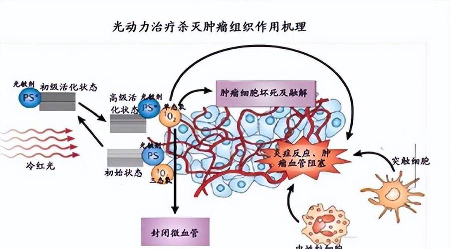 疗法原理