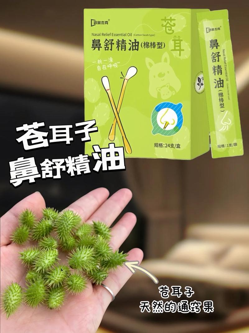 苍耳治疗鼻炎的疗效探讨：真有效吗？