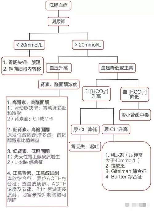 季节性发病周期