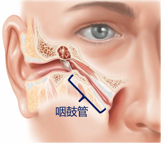 咽鼓管功能障碍