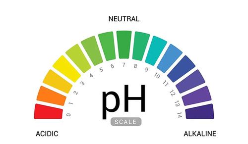 酸碱性