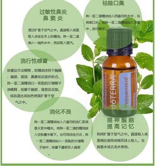 薄荷水：揭秘它对鼻炎的神奇疗效吗？