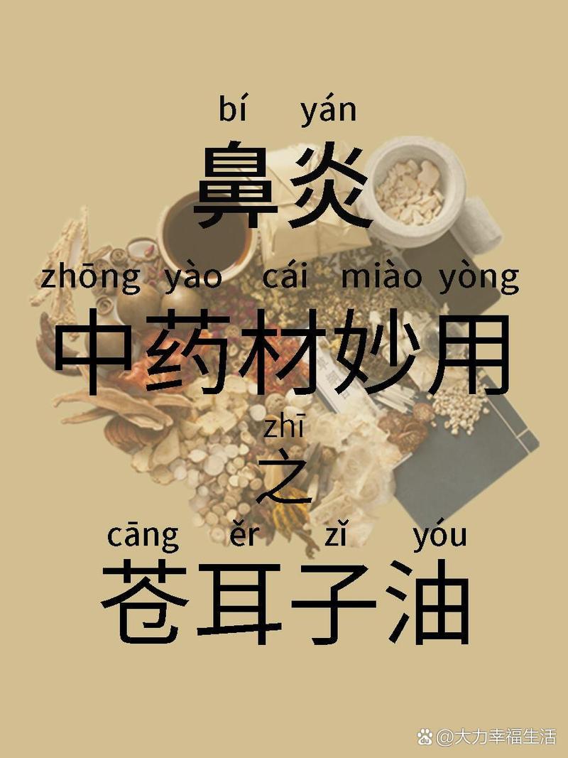 鼻炎中药提取物