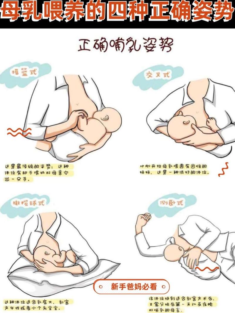 婴幼儿喂奶姿势