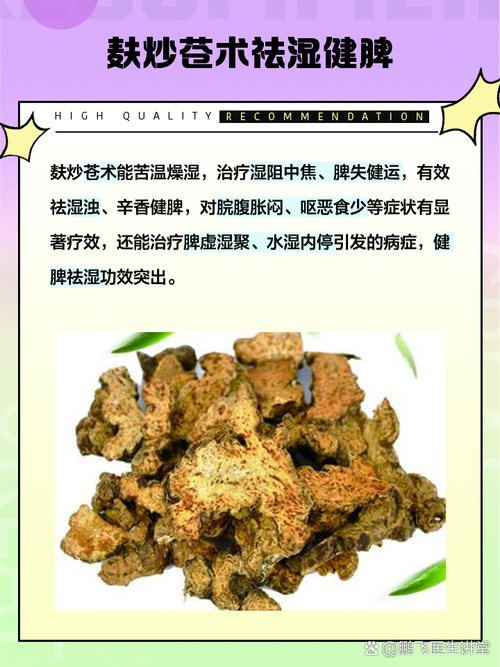 苍术是否真的能治愈鼻炎？