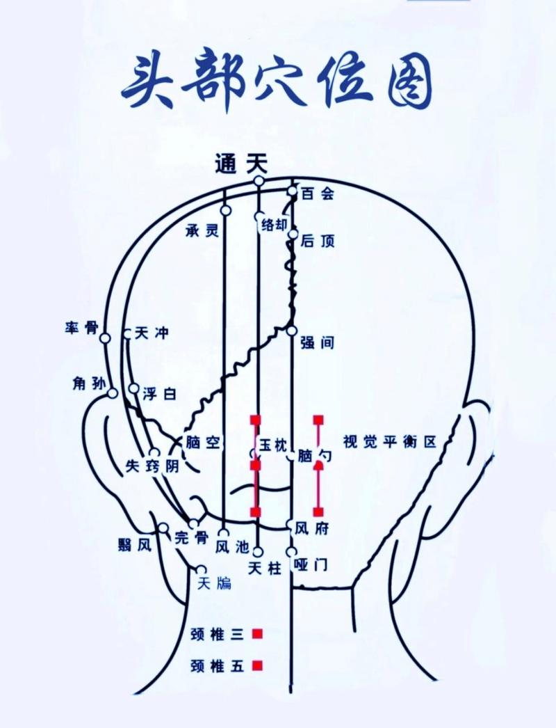 头部穴位