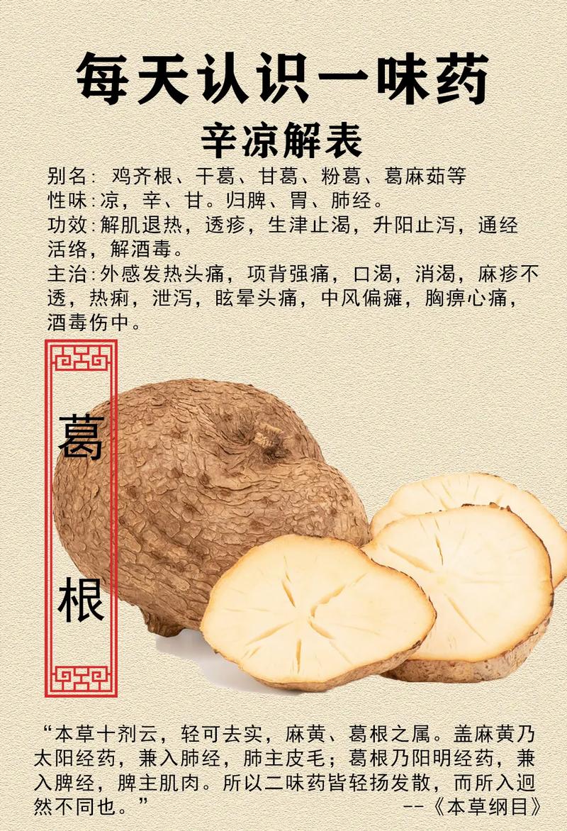 过敏性鼻炎患者可以放心食用葛吗？