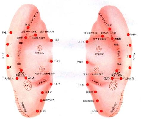 耳背穴位