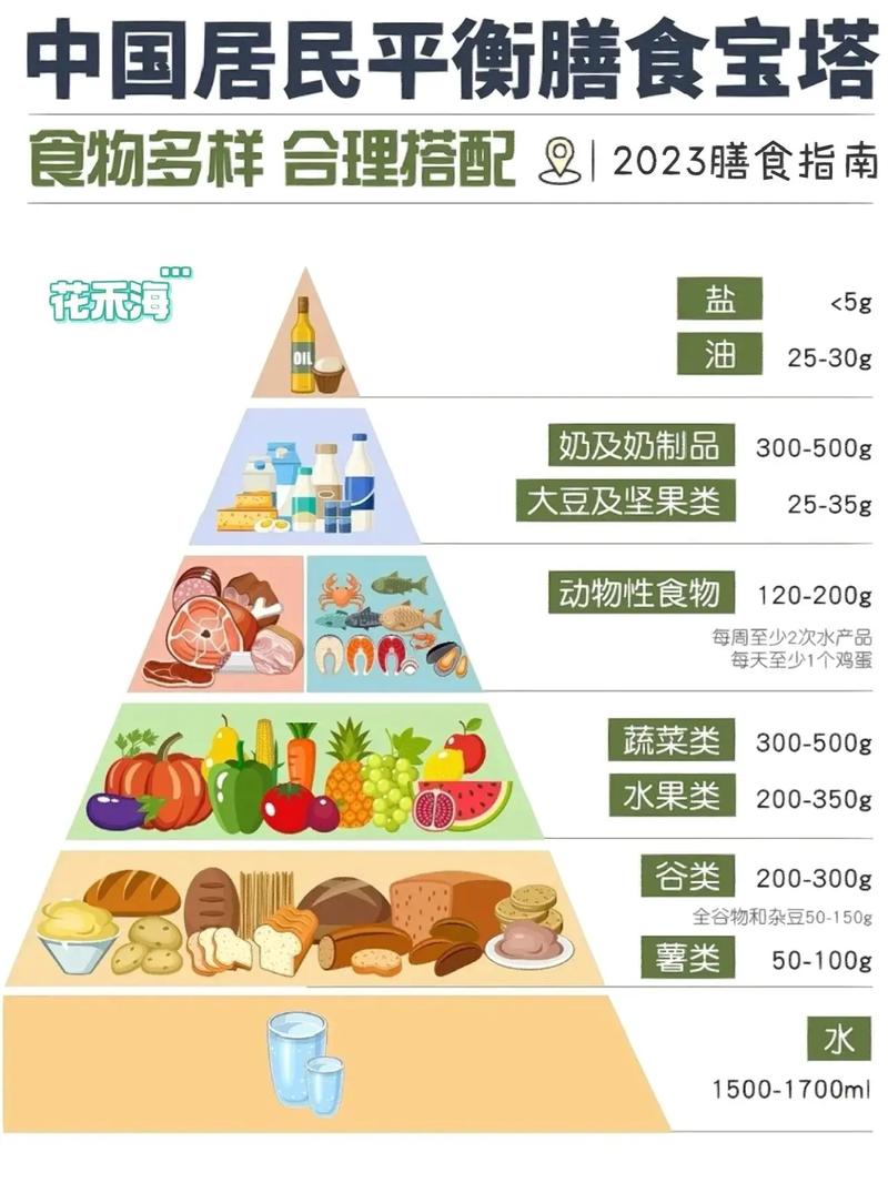 饮食指南