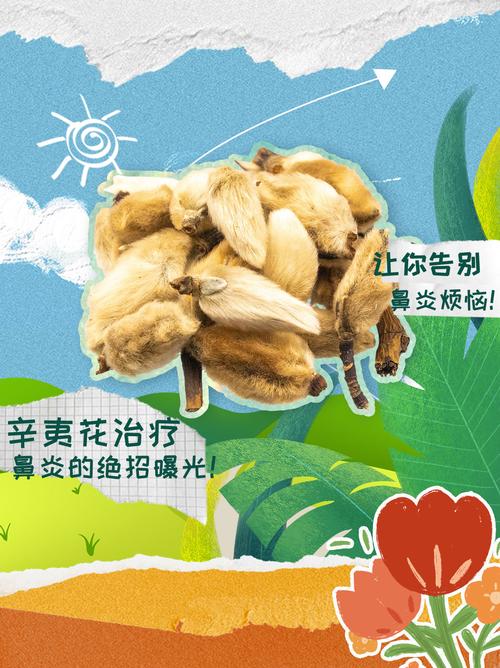 选择哪个牌子的花可以有效治疗鼻炎？