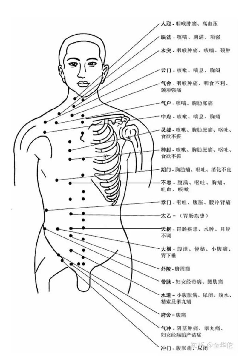 关键穴位