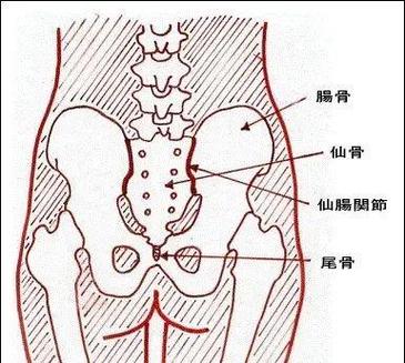 按摩尾椎骨