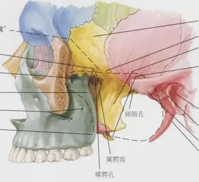 蝶腭神经节射频消融