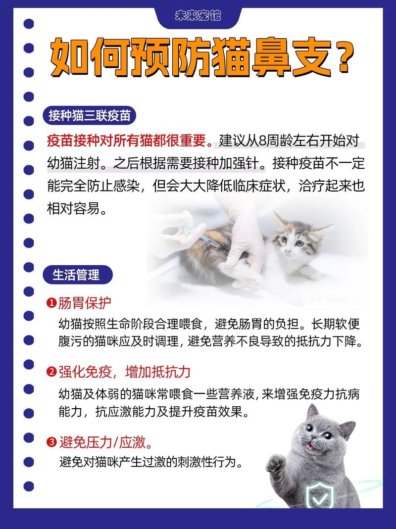 如何应对小猫引起的过敏性鼻炎？