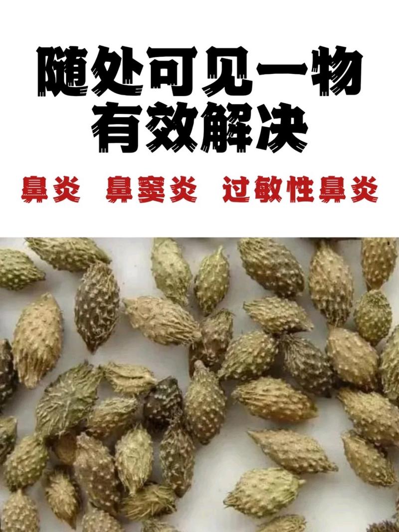 吃鼻炎和胃的中药有哪些副作用？