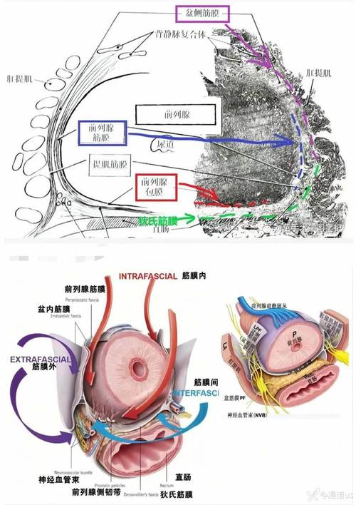 传统治疗局限