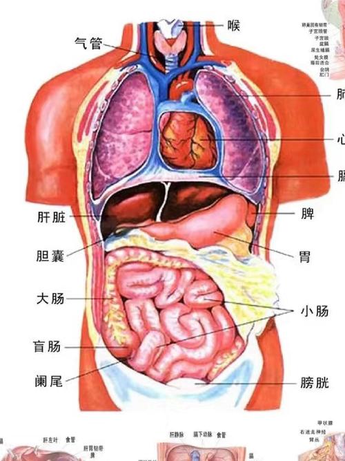 疼痛感