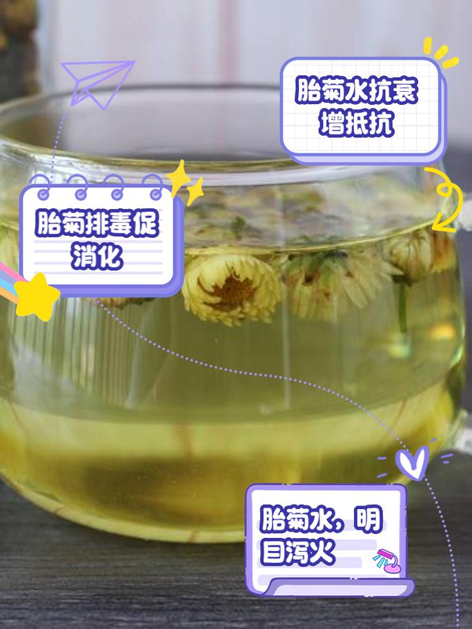 胎菊泡水能否有效缓解鼻炎症状？