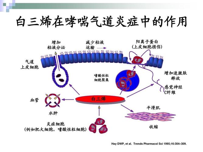 白三烯受体拮抗剂