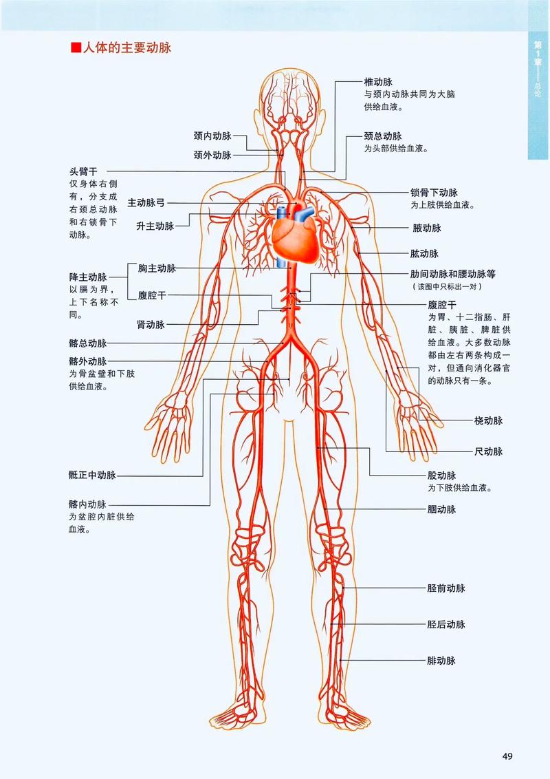 人体健康